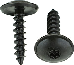 torx screw