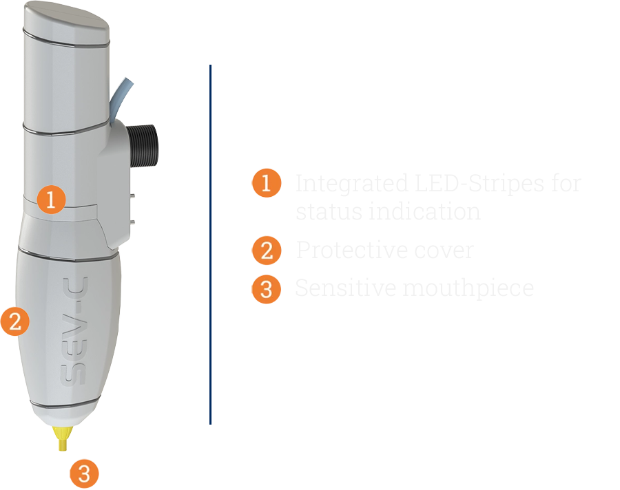 SEV-C Features